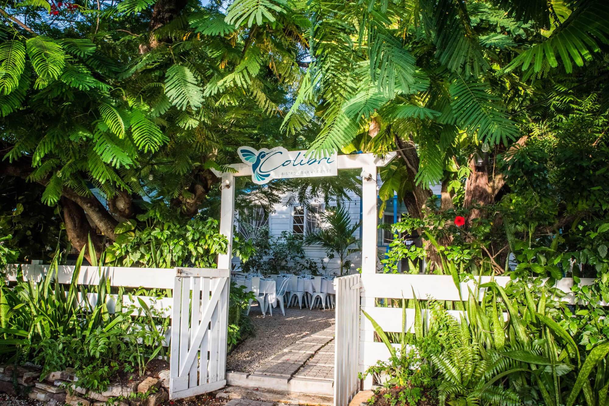 A French-Créole sweet spot - Colibri, Antigua