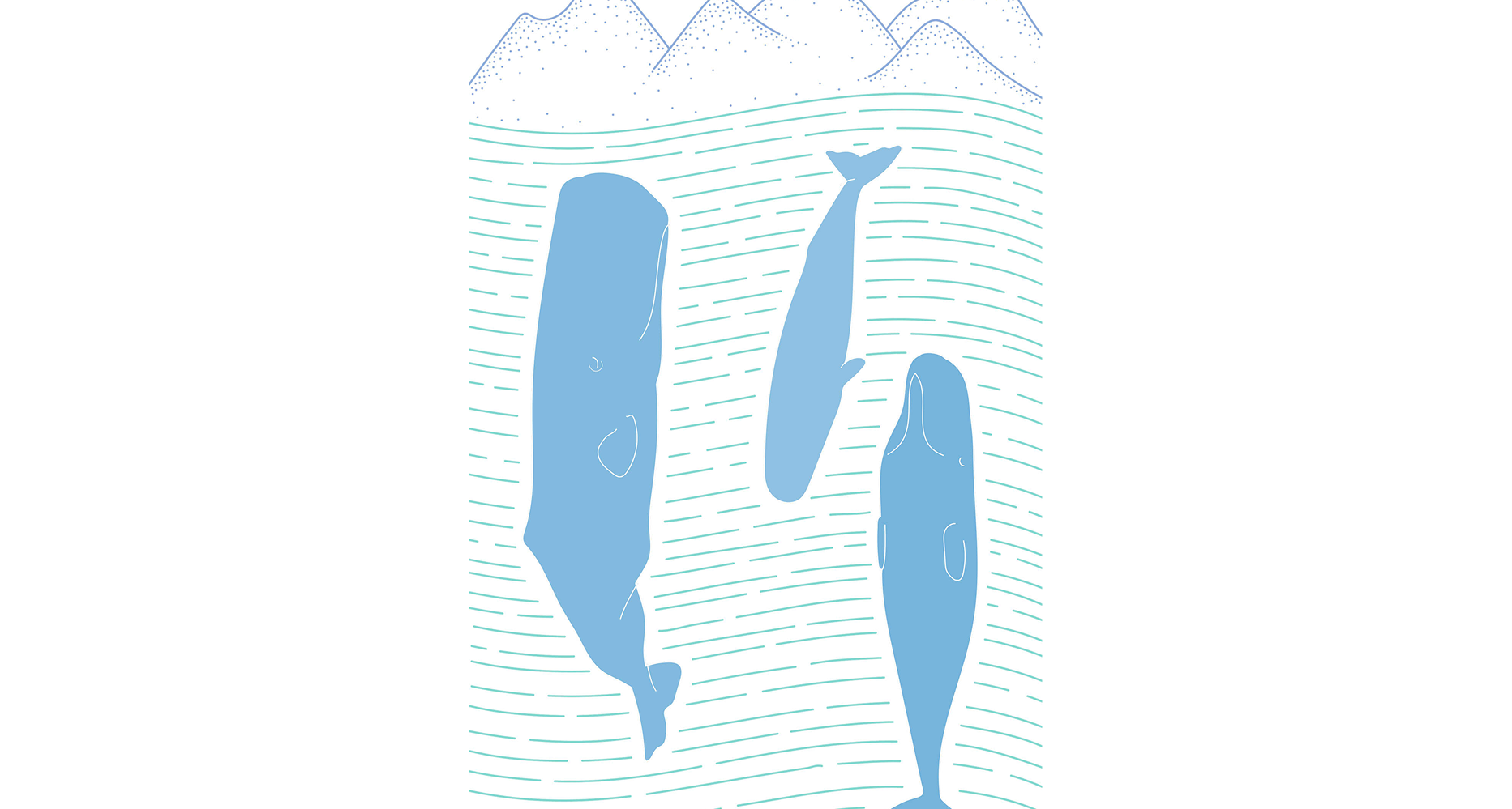 Dominica And The Whales