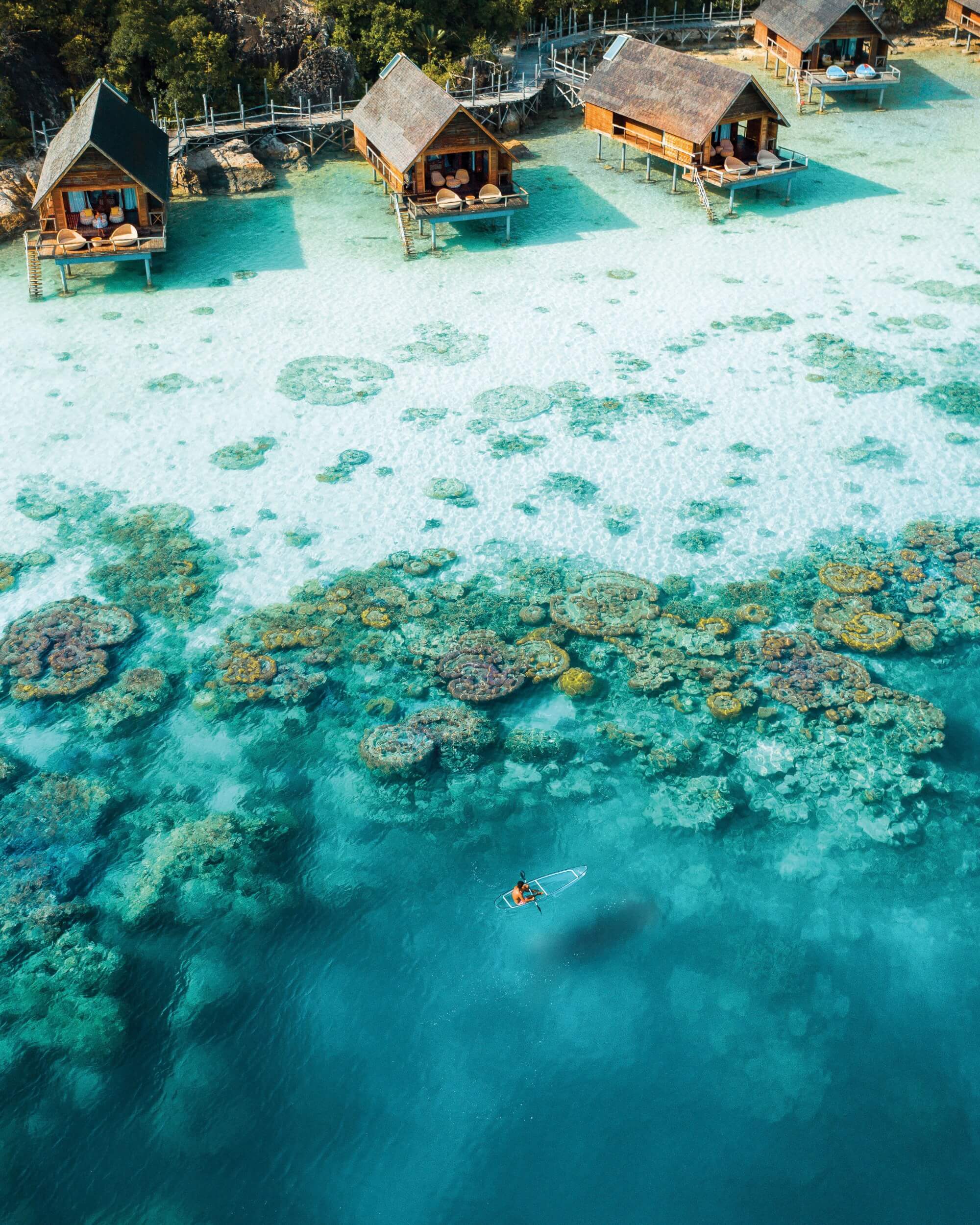 Checking In: Bawah Reserve, Indonesia