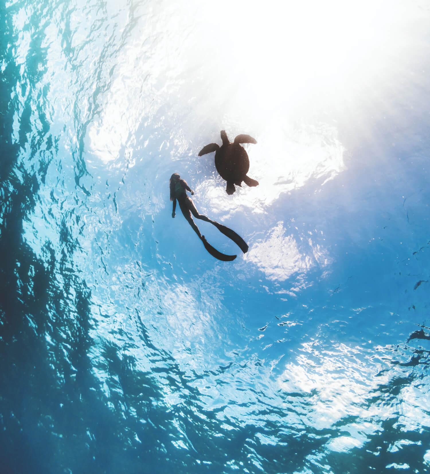  The Conscious Traveller 