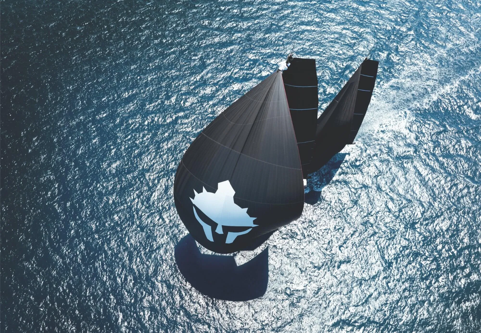 Maximus The Ocean Gladiator