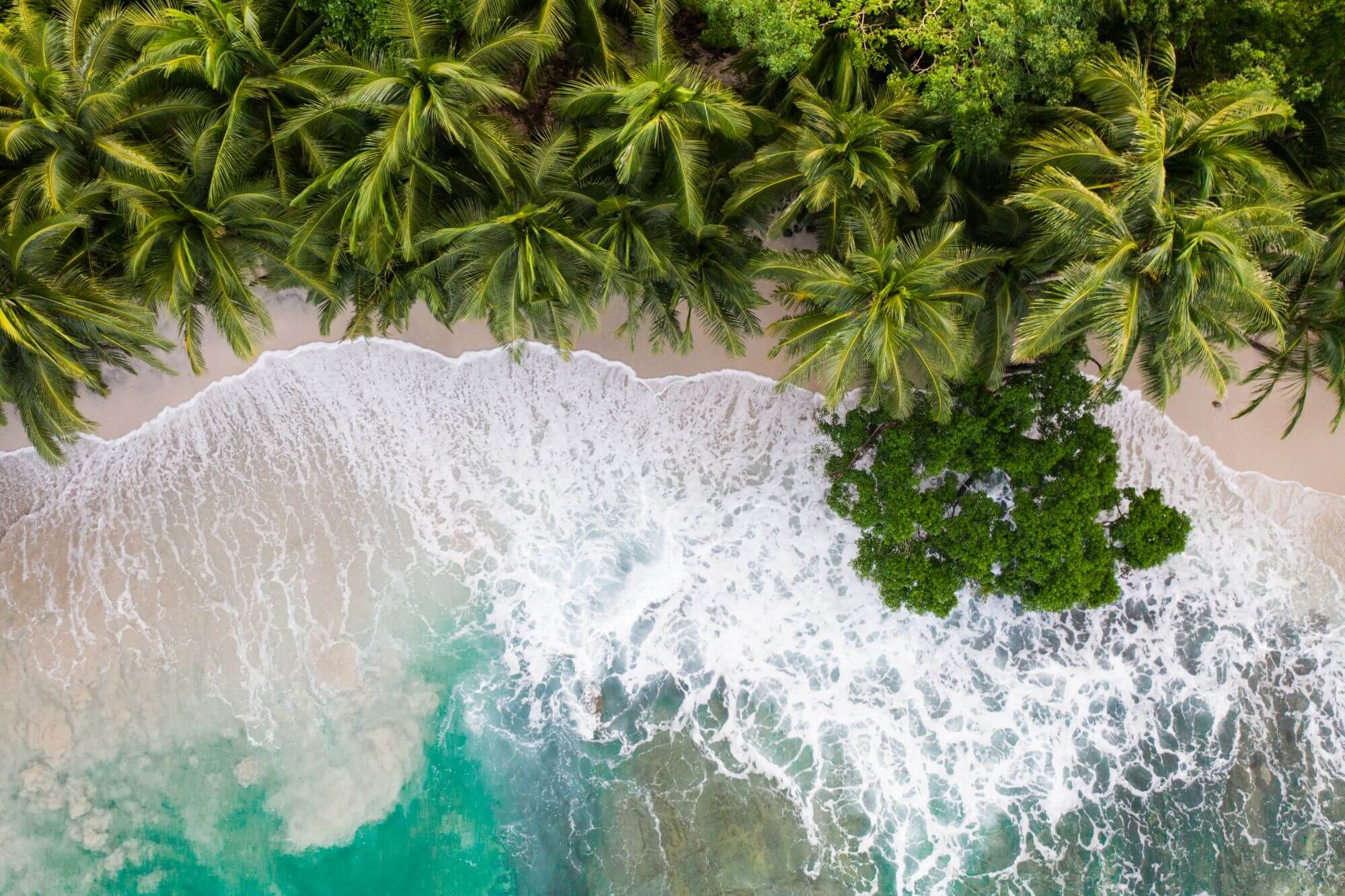 Panama to the Pacific